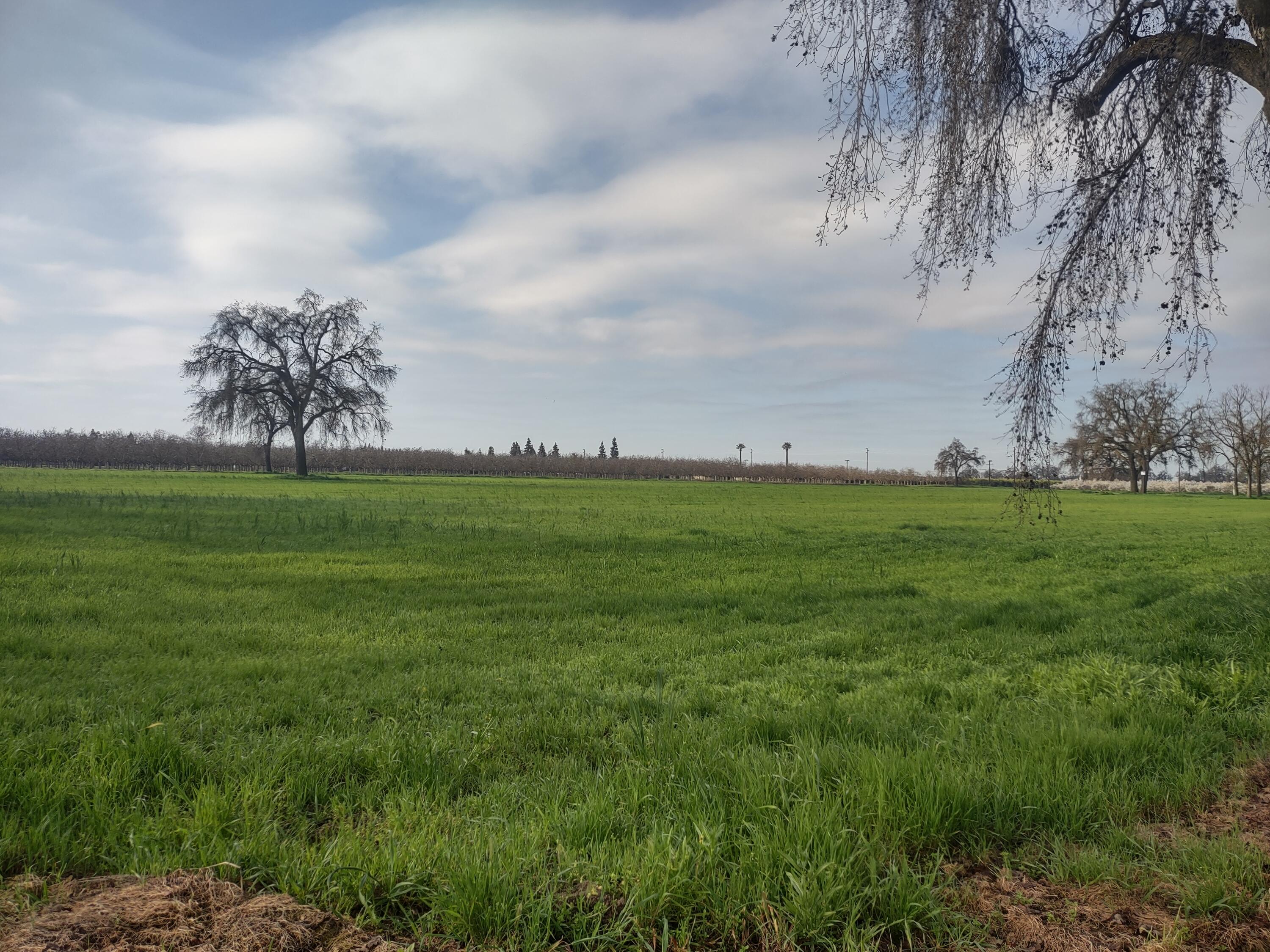 0 Lovers Ln, Visalia, CA 93292
