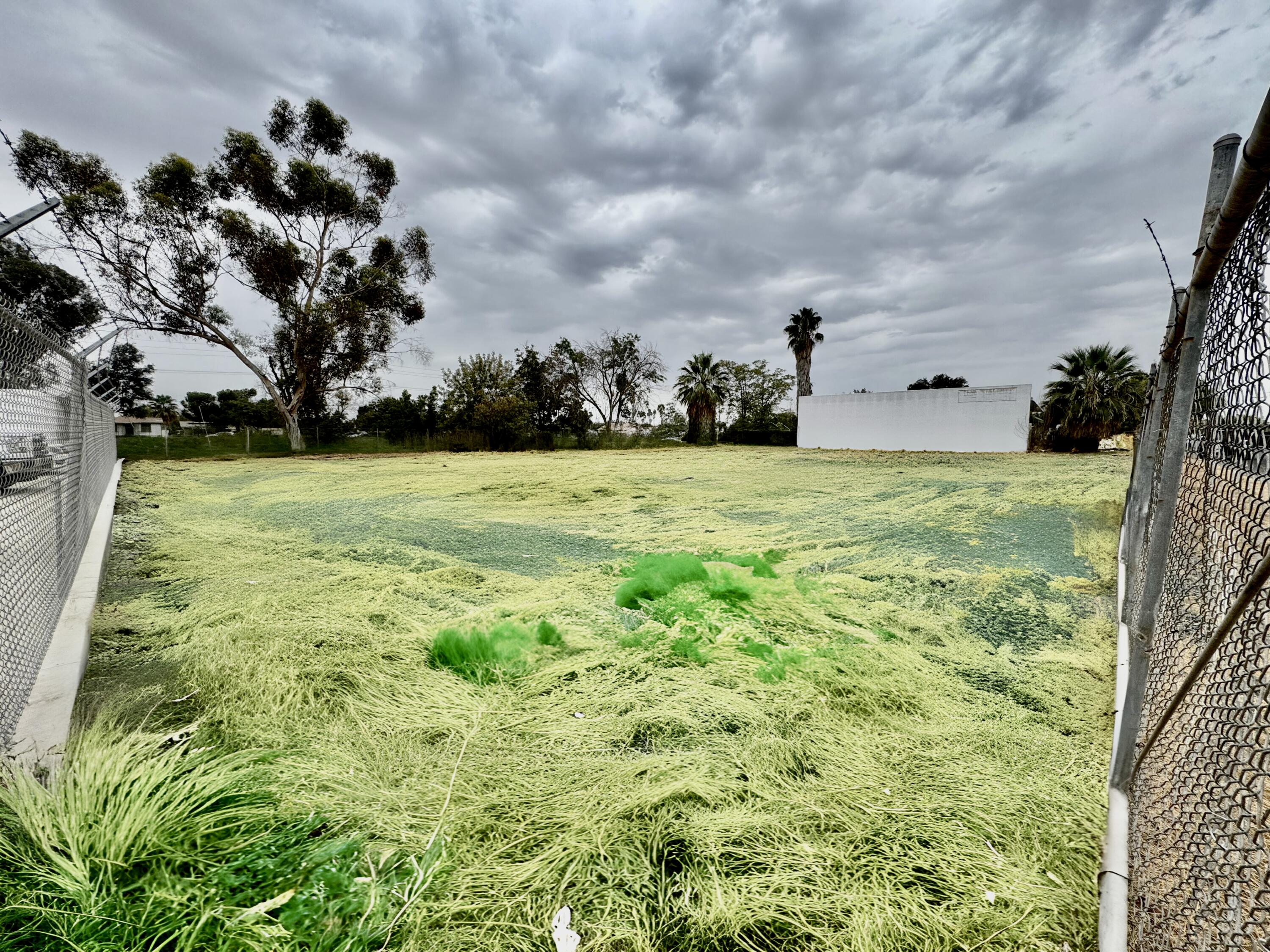 311 E 4th St, Hanford, CA 93230