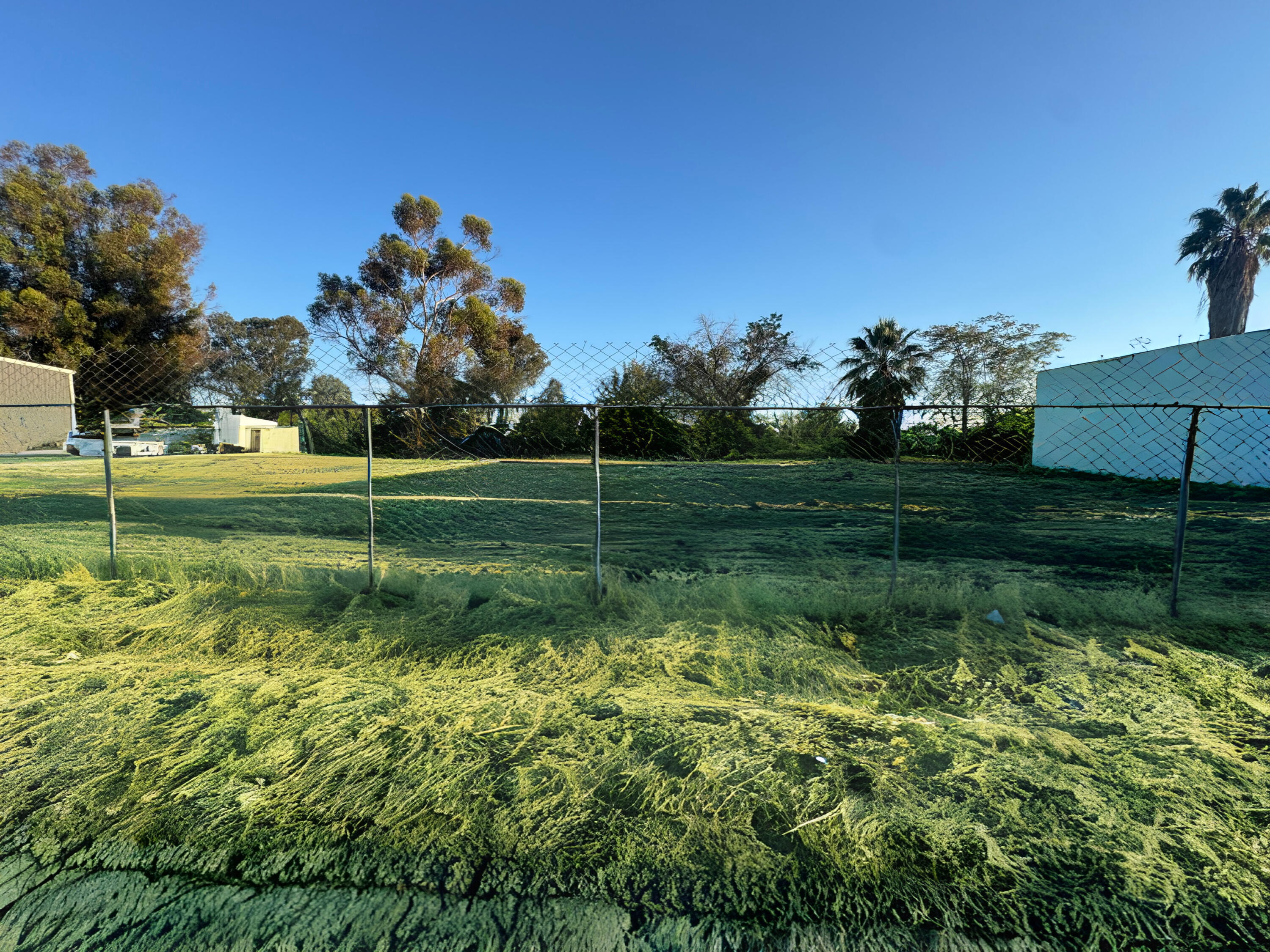 311 E 4th St, Hanford, CA 93230