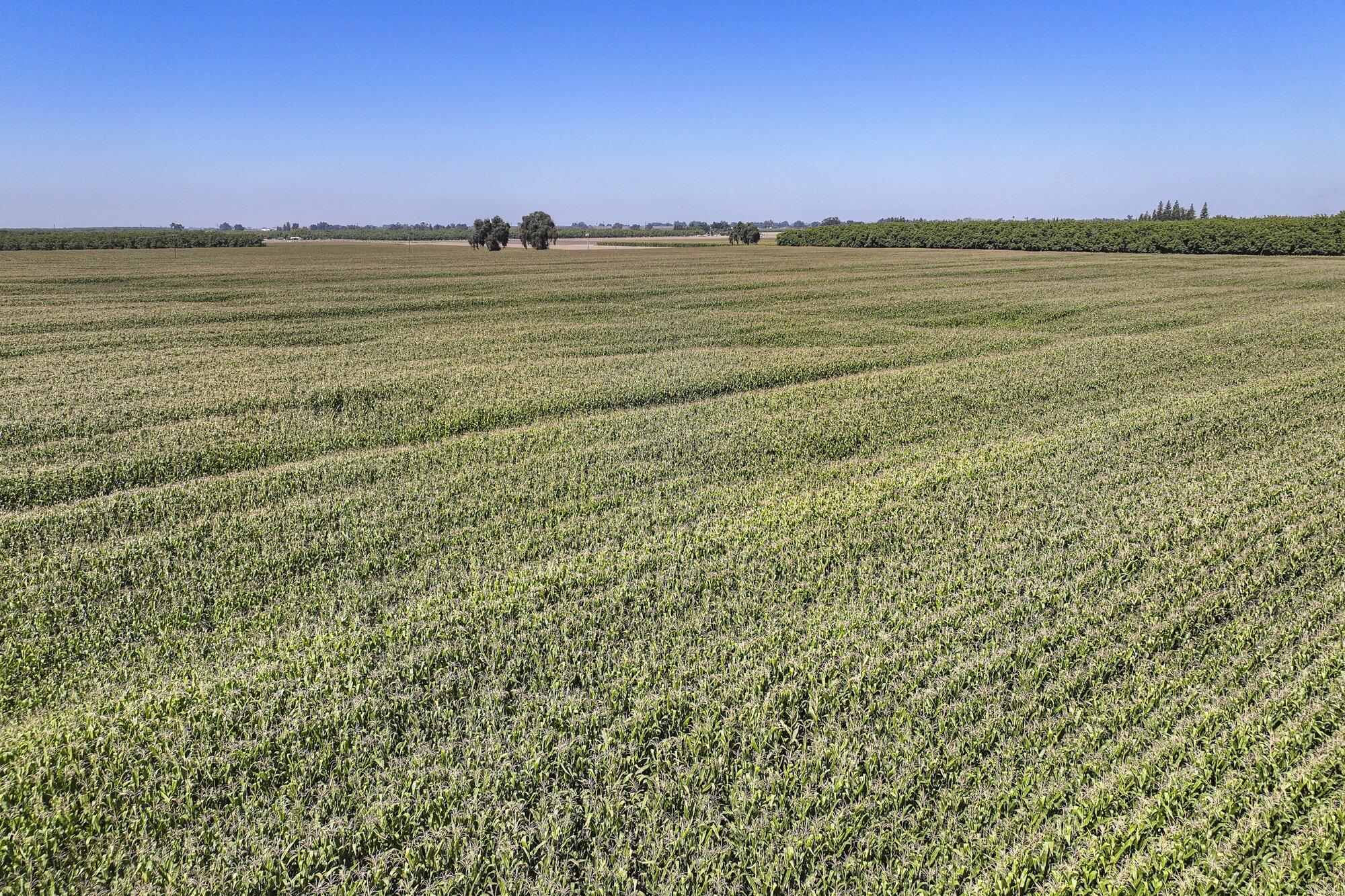 0 N Mooney Blvd, Visalia, CA 93277