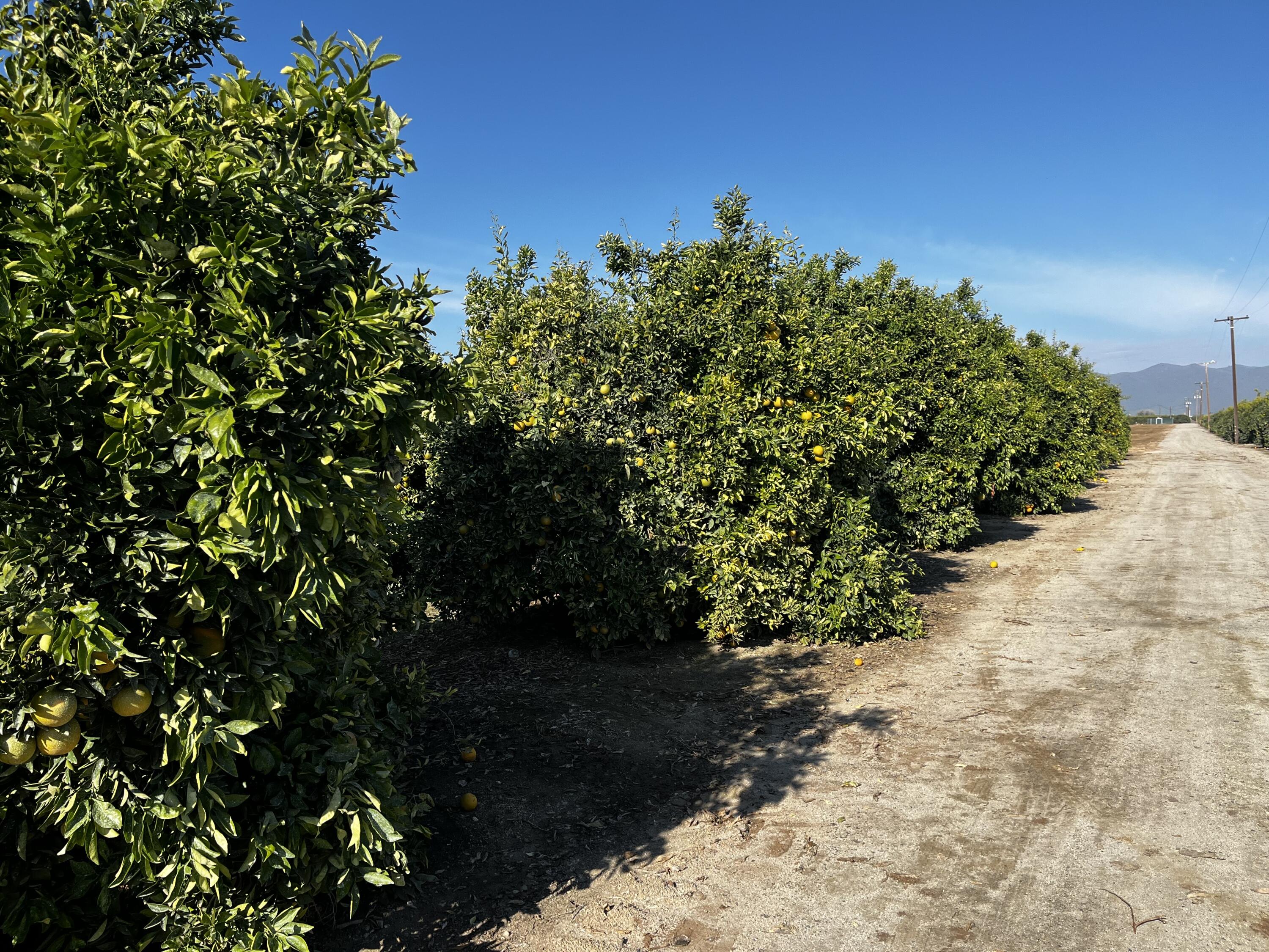 0 W Cajon Ave, Visalia, CA 93292