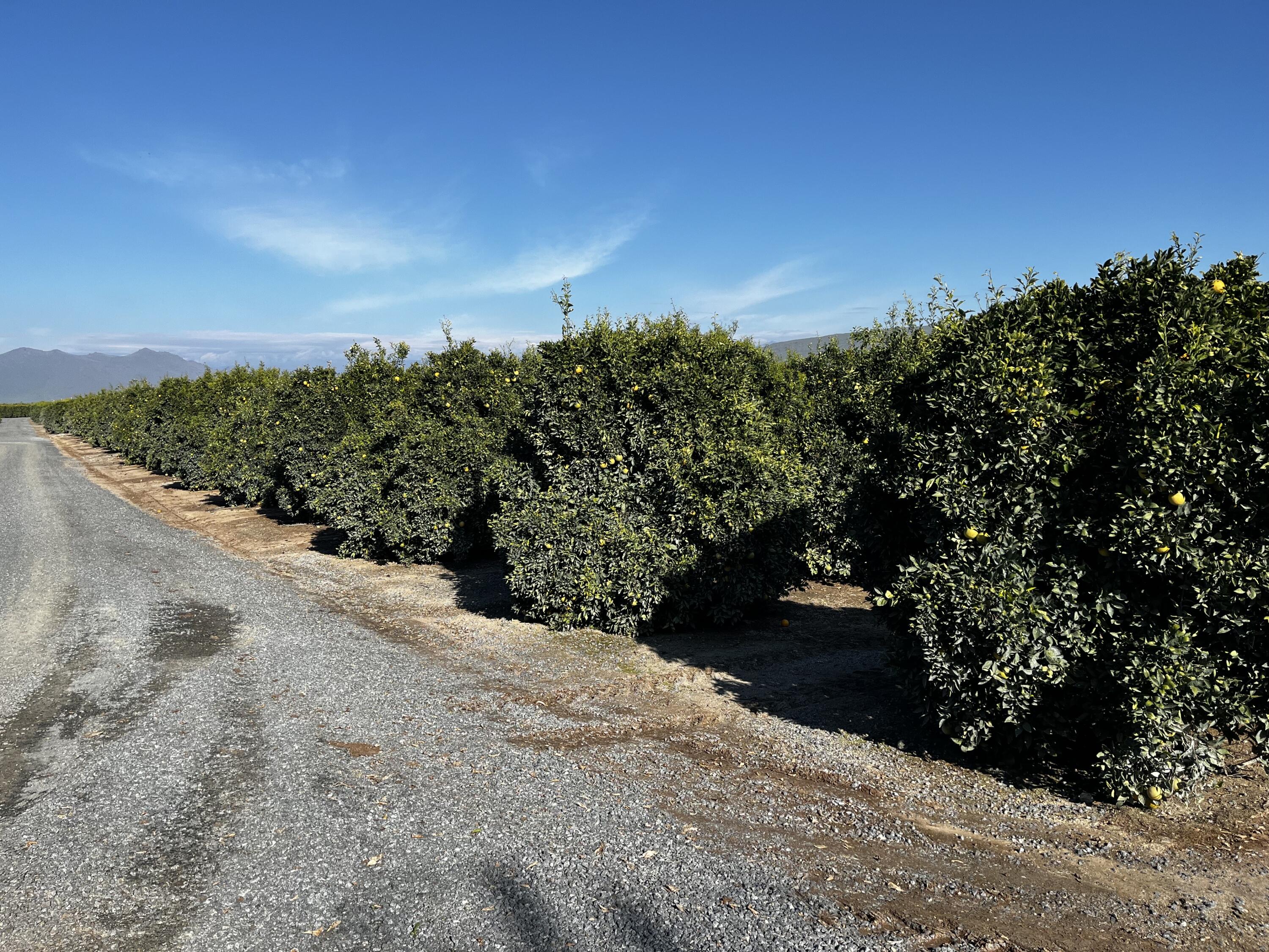 0 W Cajon Ave, Visalia, CA 93292